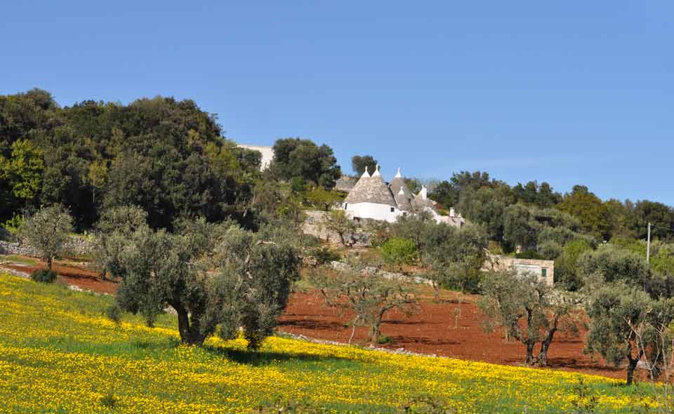 Itria Valley, Puglia, Italy