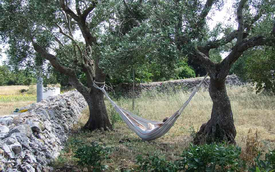 La Rosa dei 4 Venti