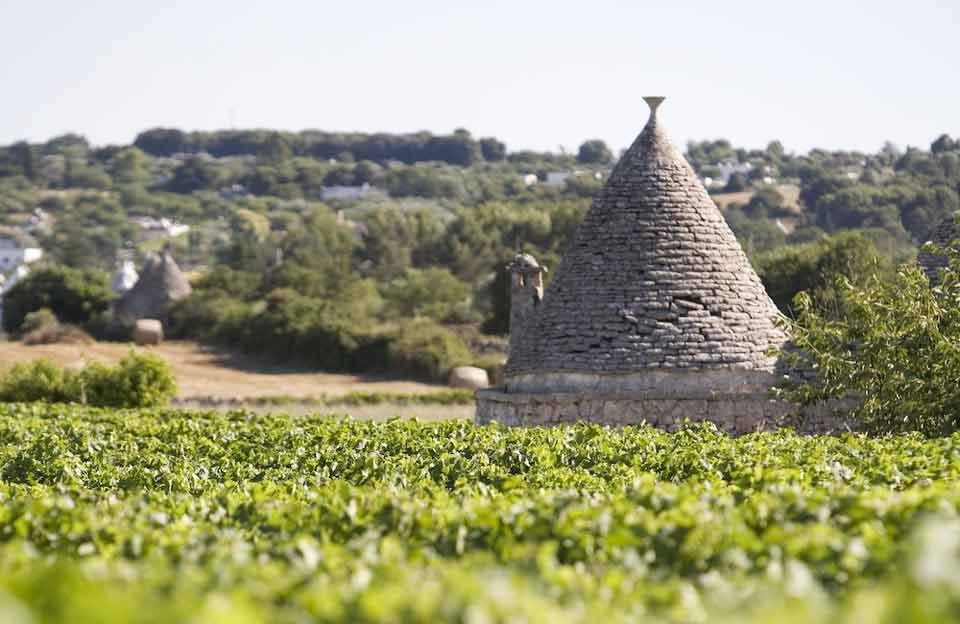 Puglia, Italy