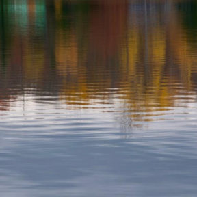 fall leaves reflected in lake