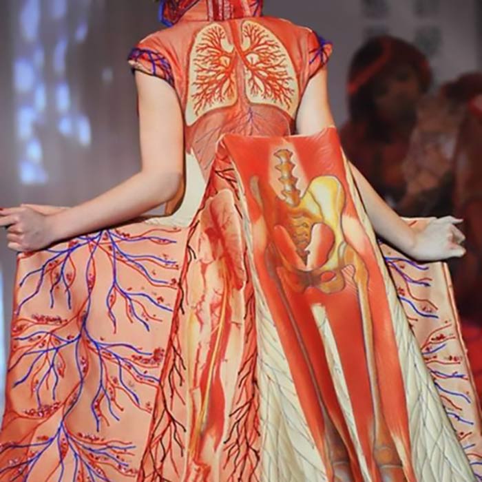 anatomy painted on gown