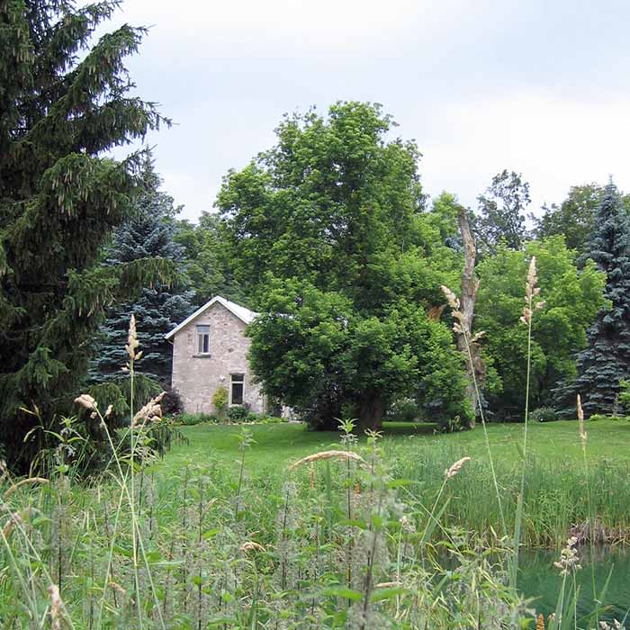 green grounds at Swallow's Bridge