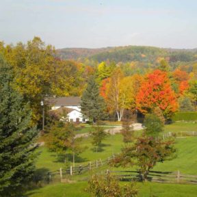 Ecology Retreat Centre in the fall