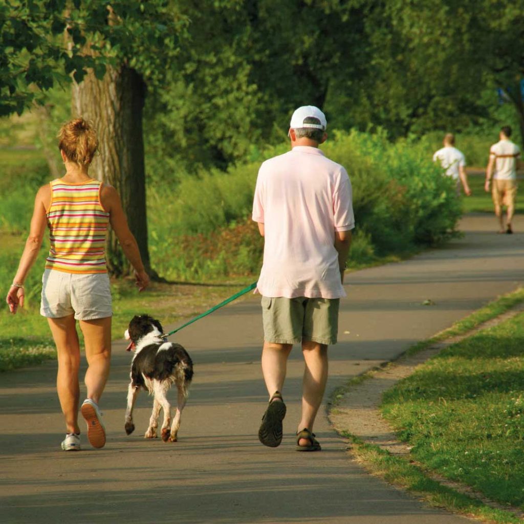 people walking on park trail