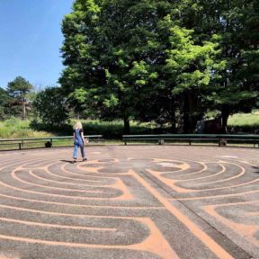 Walking the High Park Labyrinth