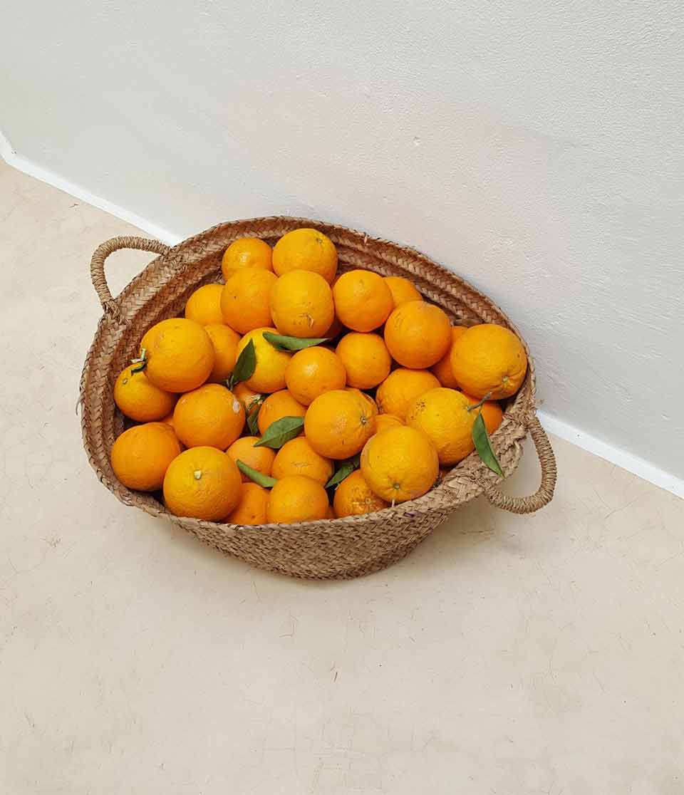 Portugal, fresh oranges
