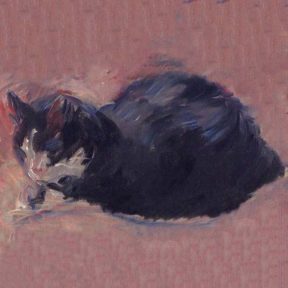 peaceful cat