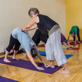 Yoga Teacher Training