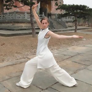 Wudang Qi Gong