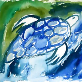 painting of turtle swimming by Sarah Hunter