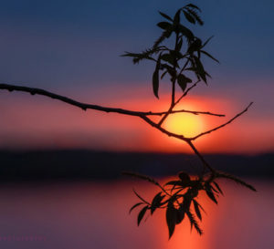sunset over lake