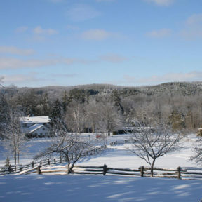 Ecology Retreat Centre in the winter