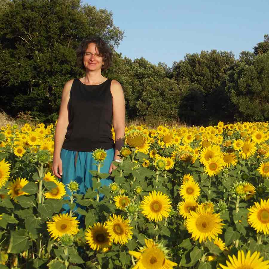 Tama in sunflower field, Itlay