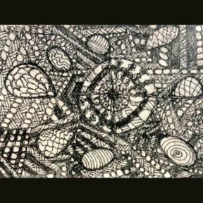 drawing by Sandie Collins