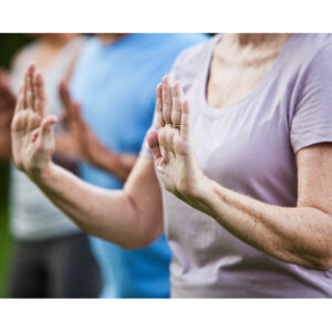 Tai Chi Qi Gong