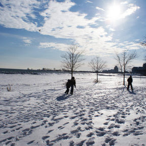 winter walk across a snowy field