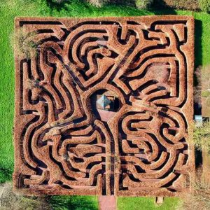 maze