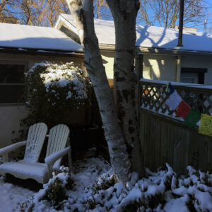 winter garden with chairs