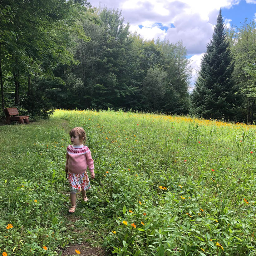 child walking through a meadow