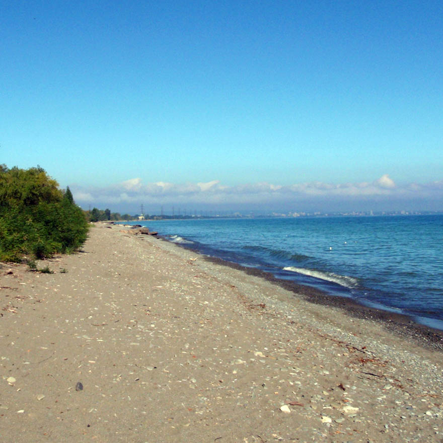 Lake Ontario beach