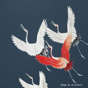 Crane Animal Sports