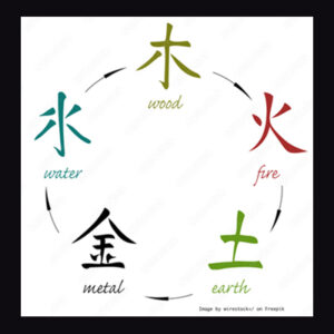 WuXing Qigong