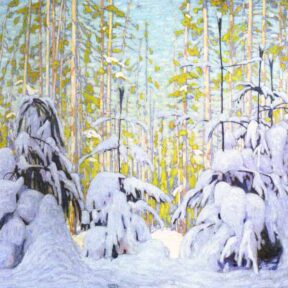 Circle of Light in Winter