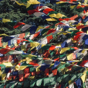 (Almost) New Year's Intensive