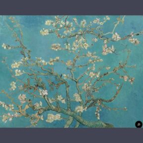 Spring into Revitalization and Renewal