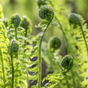 From the Ground Up: How to teach beginners